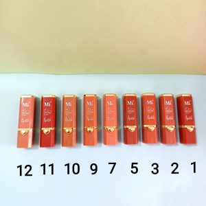 رژ لب جامد 12 رنگ موک