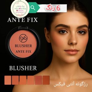 رژگونه حرفه ای آنتی فیکس (اورجینال)