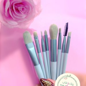 براش 8 تیکه حرفه ای